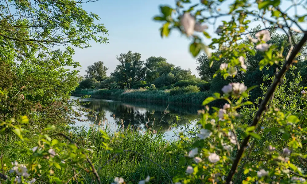 Freizeit Wald Wiese See