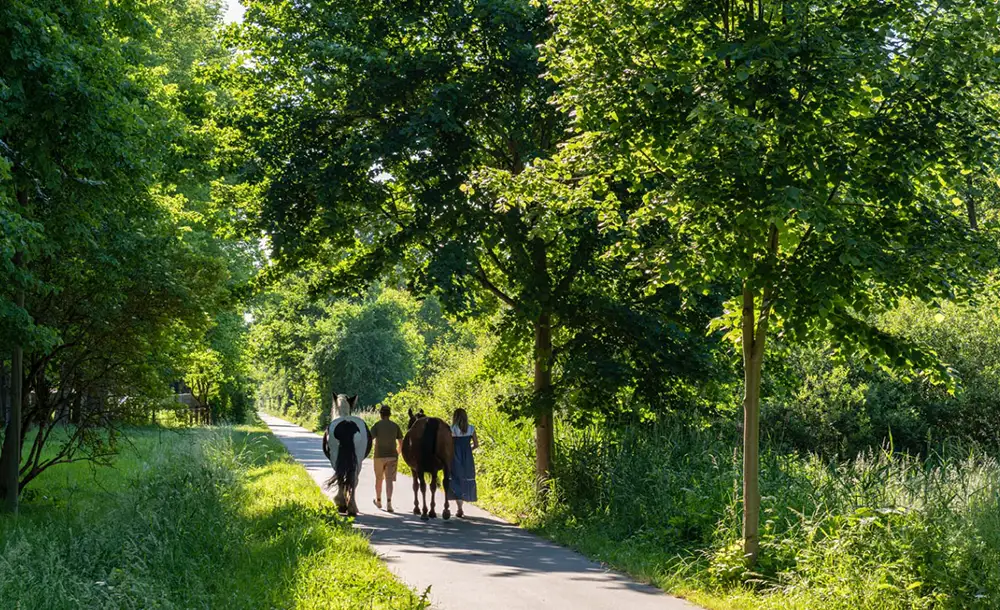 Standort Freizeit